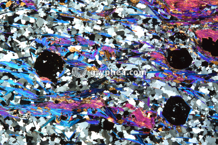 Micaschiste à grenats LPA x2 - gryphea.com